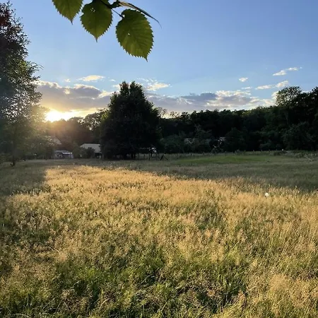Apartamento Spreewaldhaus Am Landgut - Pretschen Markische Heide Exterior foto