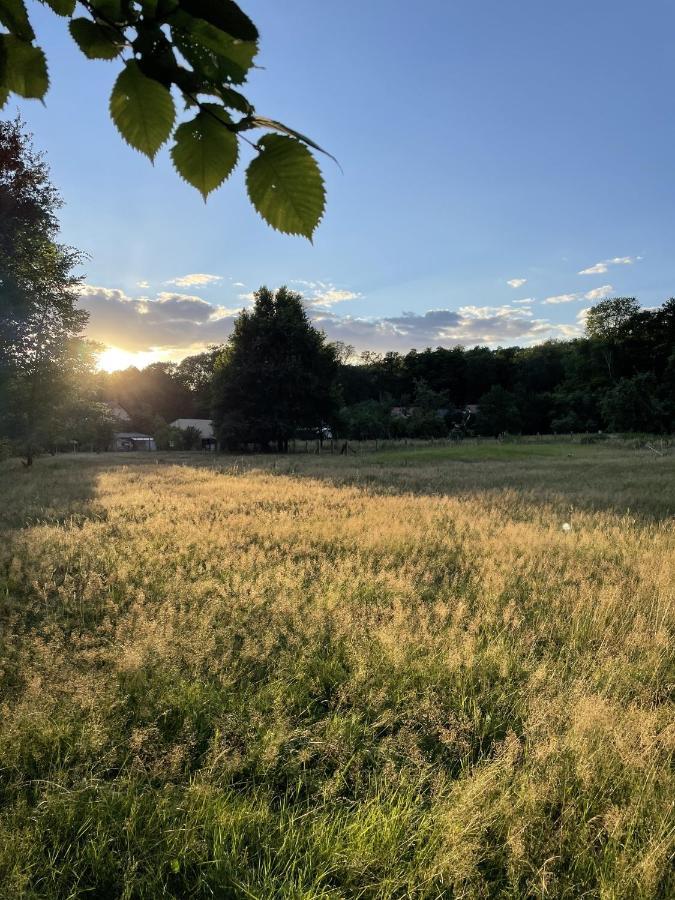 Spreewaldhaus Am Landgut - Pretschen * Markische Heide